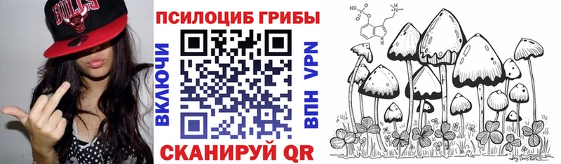 наркошоп  Багратионовск  Псилоцибиновые грибы Cubensis 